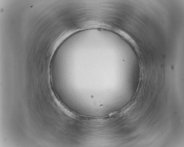 X0000070881431200607071937