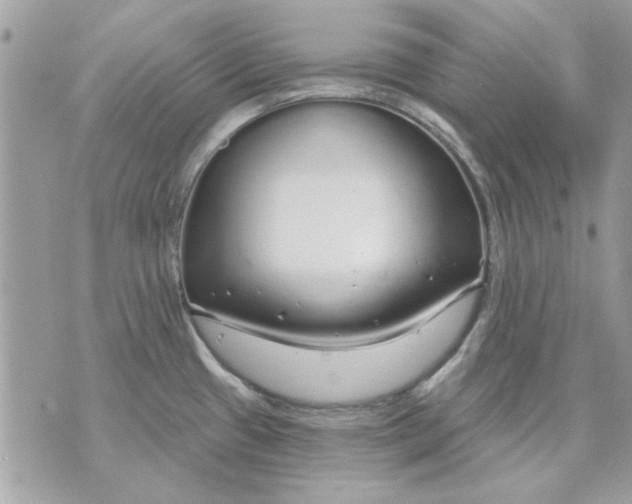 X0000070881433200607071937