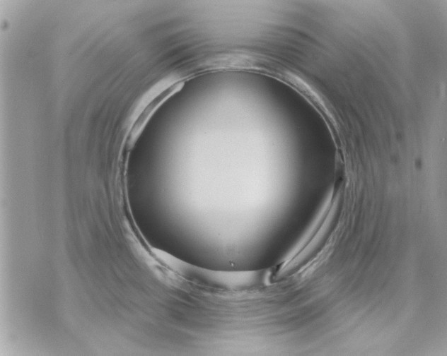 X0000070881434200607071937