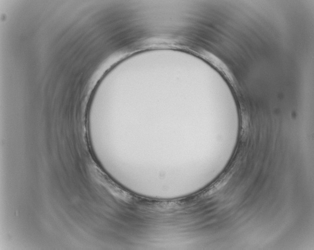 X0000070881435200607071937