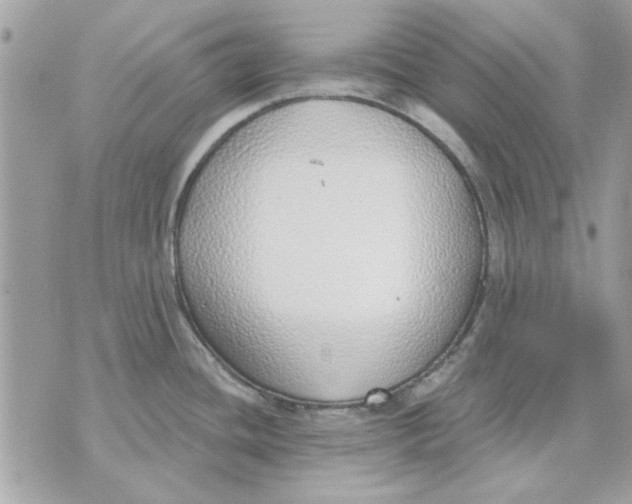 X0000070881436200607071937