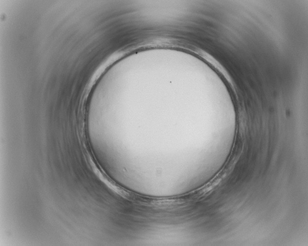 X0000070881437200607071937