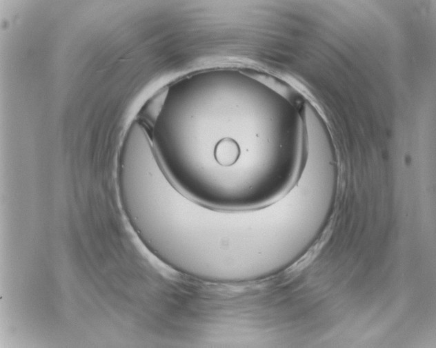 X0000070881438200607071937