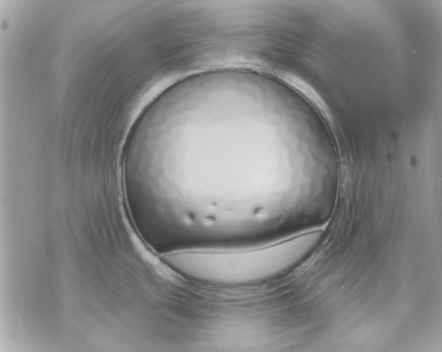 X0000070881439200607071937