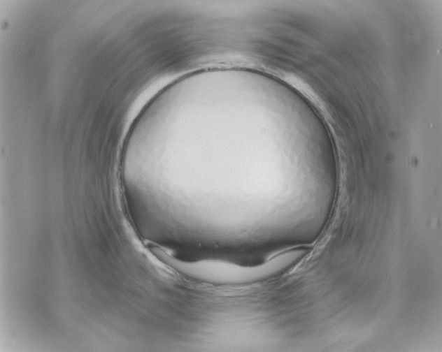 X0000070881440200607071937