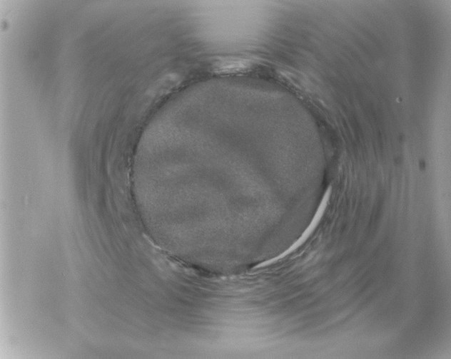 X0000070881441200607071936