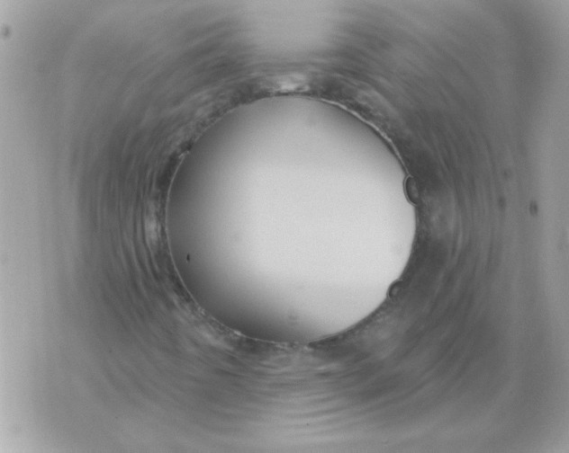 X0000070881442200607071936