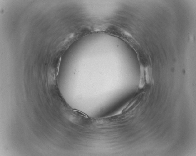 X0000070881443200607071936