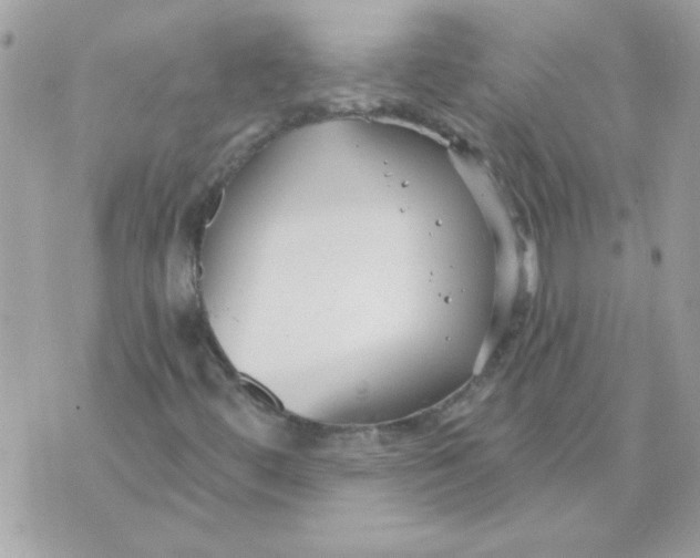 X0000070881444200607071936