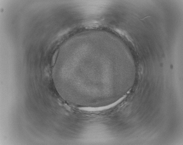 X0000070881445200607071936