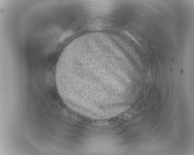 X0000070881446200607071936