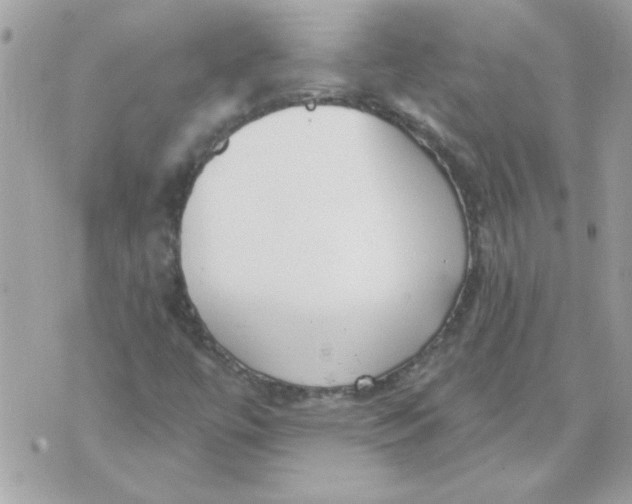 X0000070881447200607071936