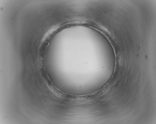 X0000070881448200607071936