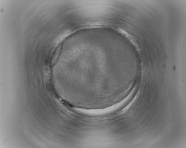 X0000070881449200607071936