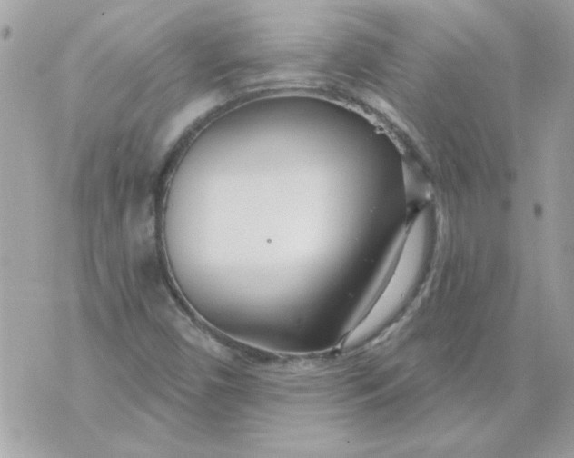 X0000070881450200607071936