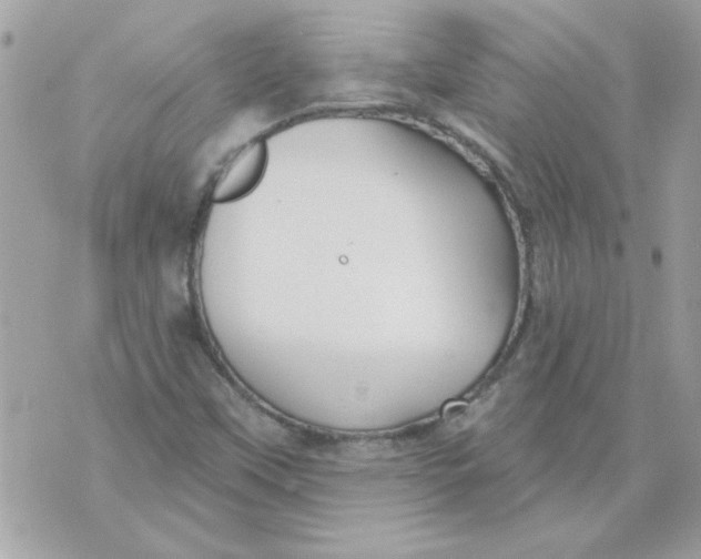 X0000070881451200607071936