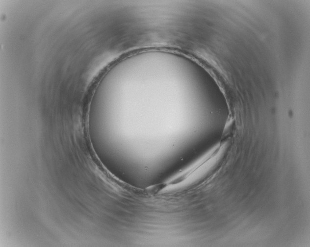 X0000070881452200607071936