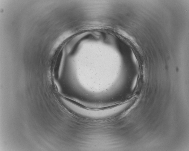 X0000070881453200607071936