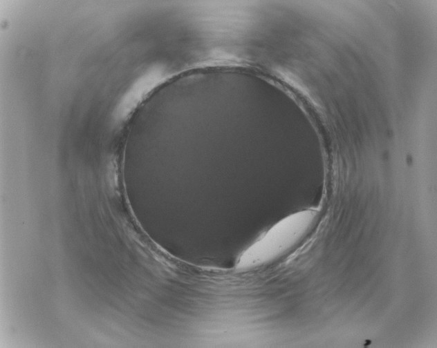 X0000070881455200607071936