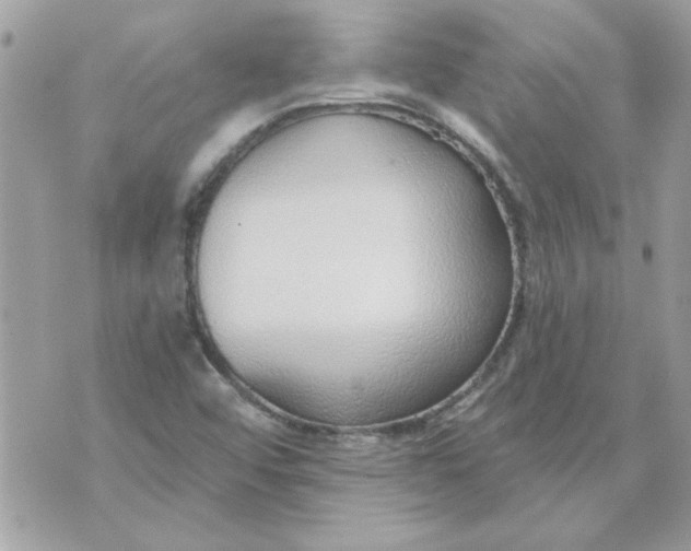 X0000070881456200607071936