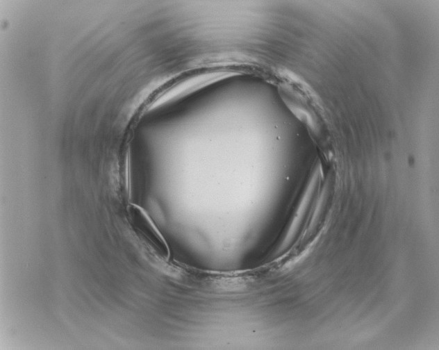 X0000070881457200607071936