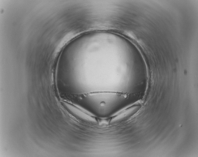 X0000070881459200607071936