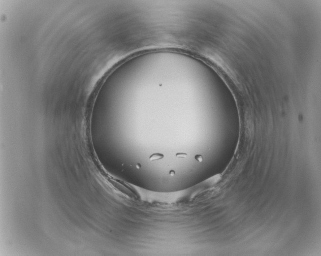 X0000070881460200607071936