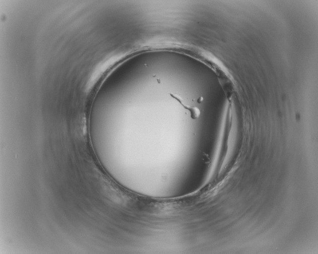 X0000070881461200607071936