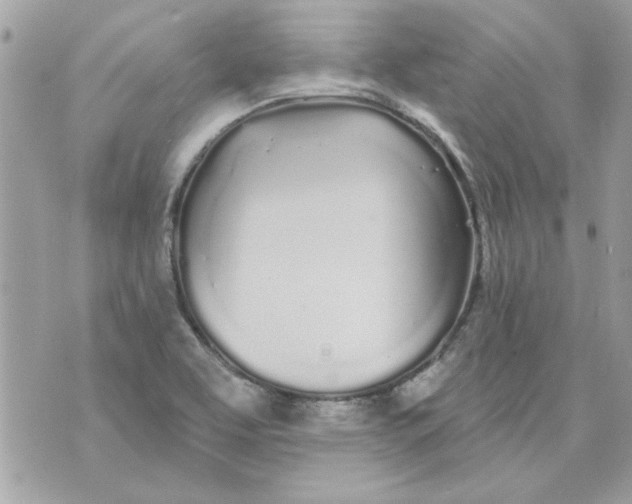 X0000070881463200607071936