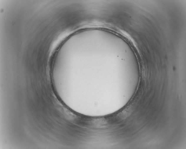 X0000070881464200607071936