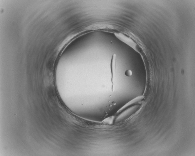 X0000070881465200607071936