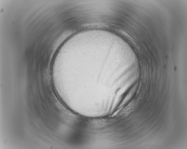 X0000070881466200607071935