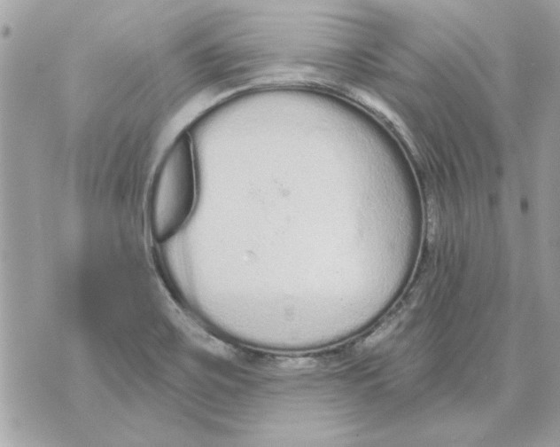 X0000070881467200607071935