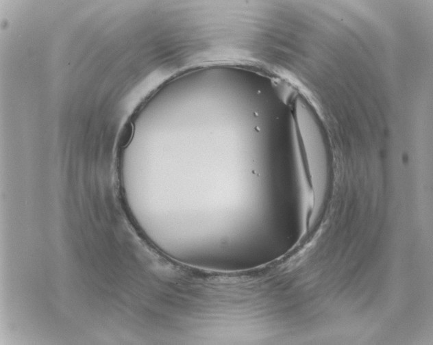 X0000070881469200607071935