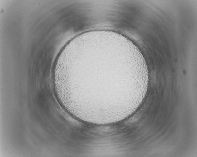 X0000070881470200607071935