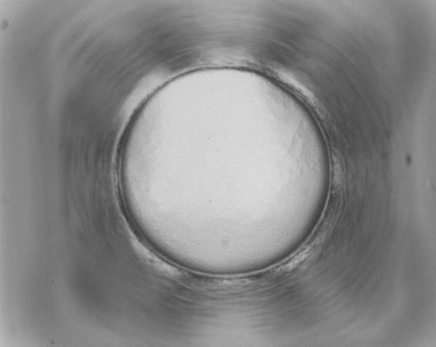 X0000070881471200607071935