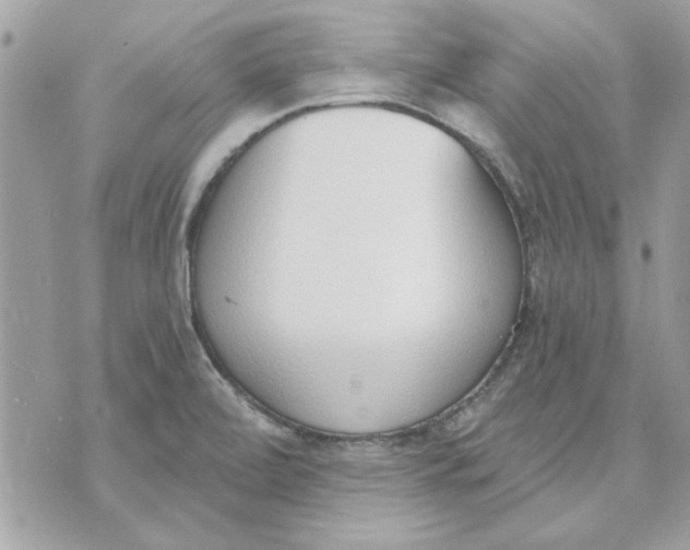 X0000070881472200607071935