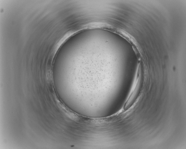 X0000070881473200607071935