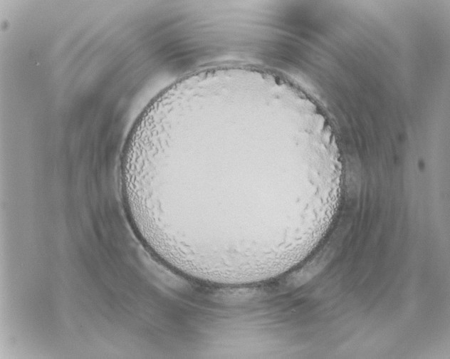 X0000070881474200607071935