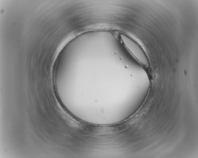 X0000070881475200607071935