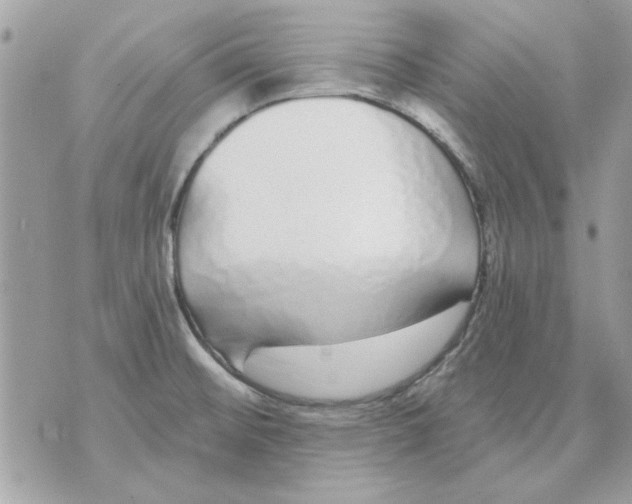 X0000070881476200607071935