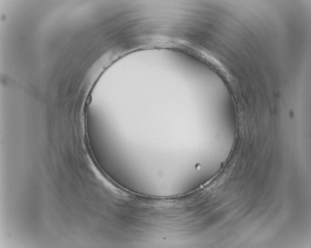 X0000070881479200607071935