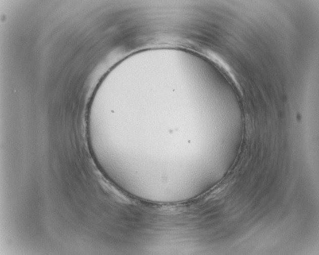 X0000070881480200607071935