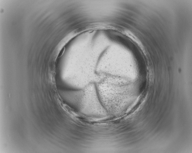 X0000070881481200607071935