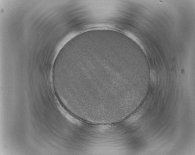 X0000070881482200607071935