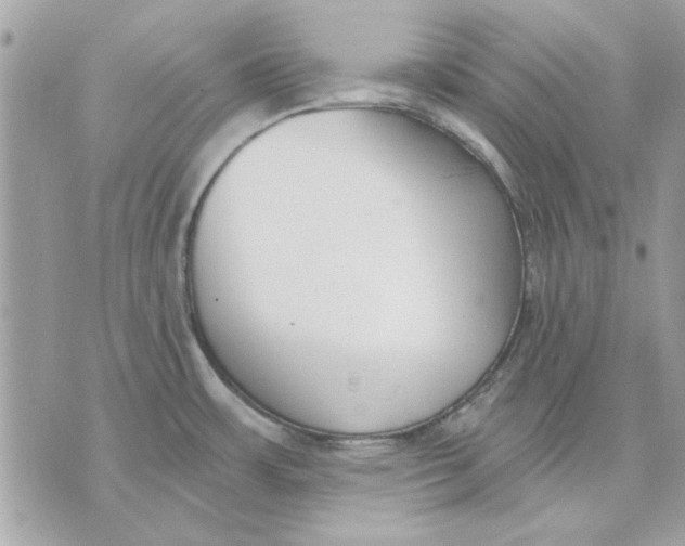 X0000070881483200607071935