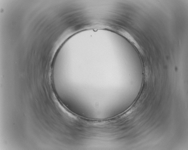 X0000070881484200607071935