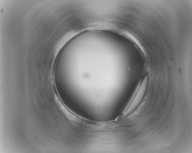 X0000070881485200607071935