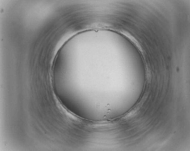 X0000070881486200607071935