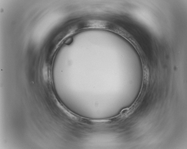 X0000070881487200607071935